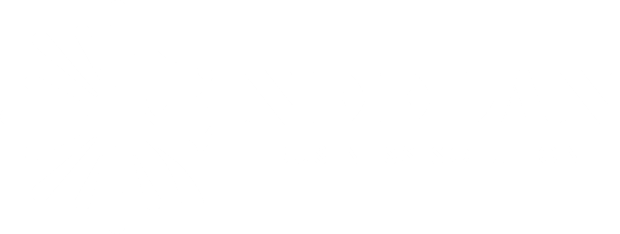 NBS Logo